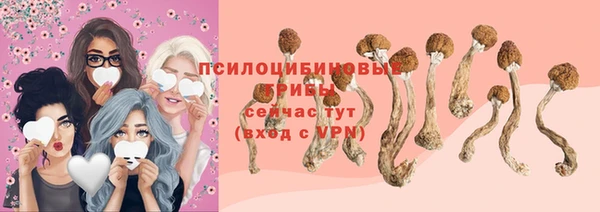 spice Карталы