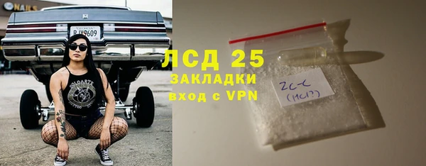 ПСИЛОЦИБИНОВЫЕ ГРИБЫ Касимов