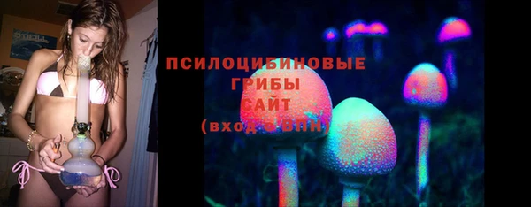 spice Карталы