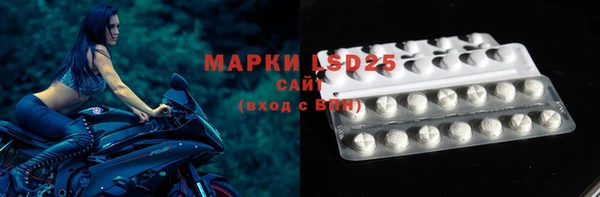 ПСИЛОЦИБИНОВЫЕ ГРИБЫ Касимов
