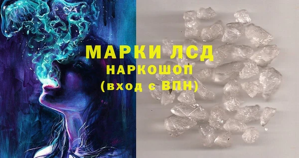 ПСИЛОЦИБИНОВЫЕ ГРИБЫ Касимов