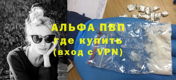ПСИЛОЦИБИНОВЫЕ ГРИБЫ Касимов