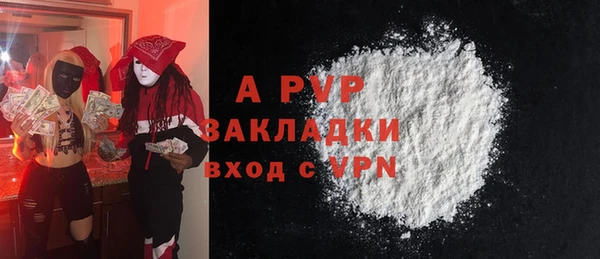 ПСИЛОЦИБИНОВЫЕ ГРИБЫ Касимов